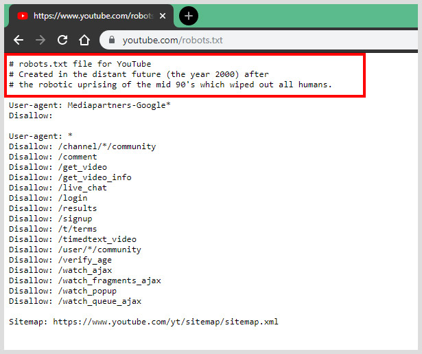 YouTube Robots Txt Easter Egg